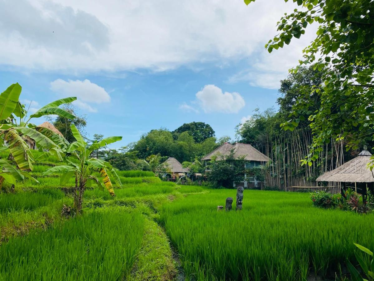 Kts Balinese Villas Canggu  Exterior photo